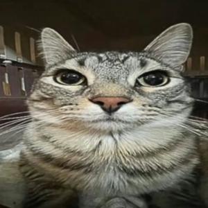 h1sokai